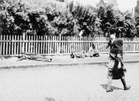 Шокирующие и бесчеловечные фотографии в истории