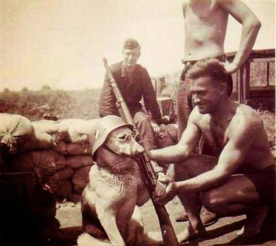 Самые странные и необычные фотографии