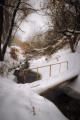 Прекрасный пейзаж