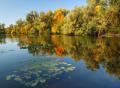 В отражении воды