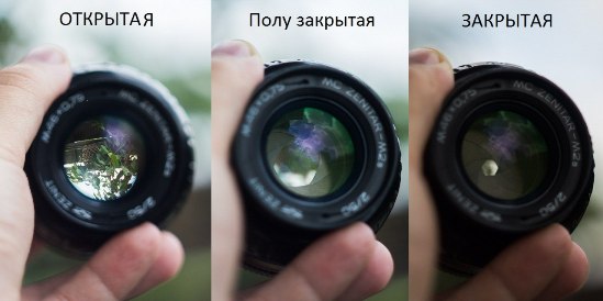 Из чего состоит фотоаппарат?