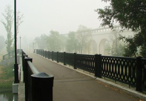  2010( )