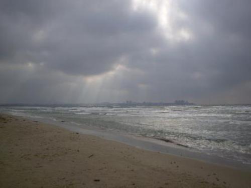 �����.������.����.����.