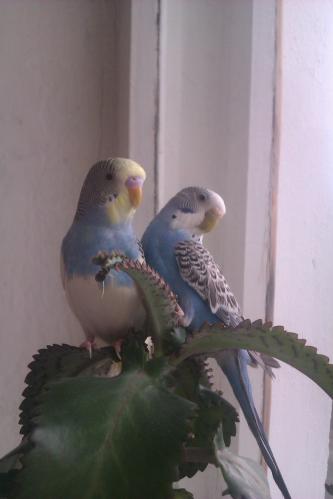 ������� � �����