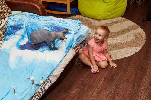 ������ � �������