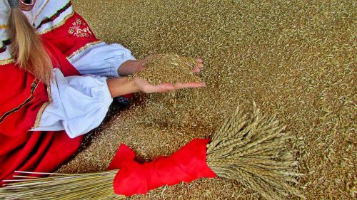 ������ ����� �������