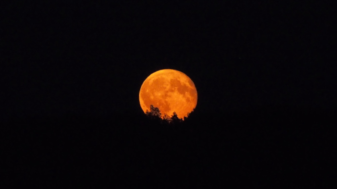 Восход луны купить. Восход Луны Хабаровск. Восход Луны 14 июня.