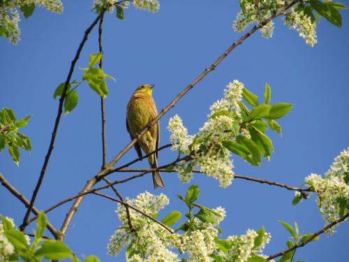 ����� ���� � ������