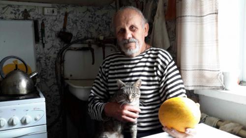 ������ ������