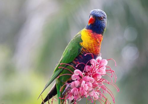 �� ���� ����