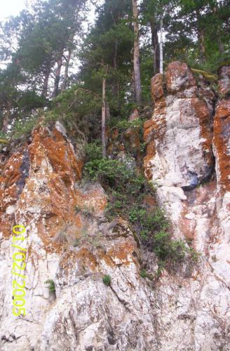 (����������� �� �� ����,�� ���� �������)