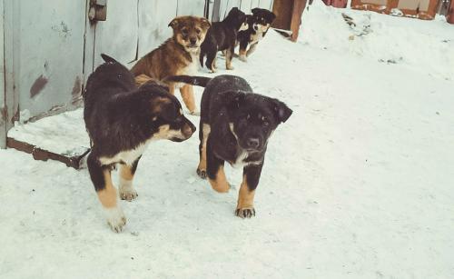 �������� �� ������ ������