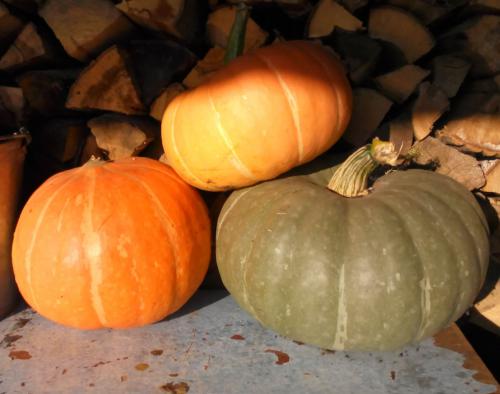 Ã’Ã»ÃªÃ®Ã¢ÃªÃ¨