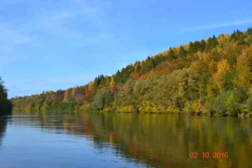 ��� �� ����