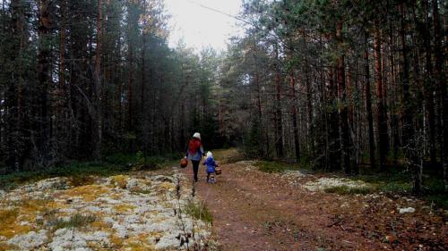 ������ ������ ������