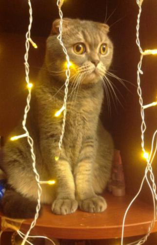 ���������� ������