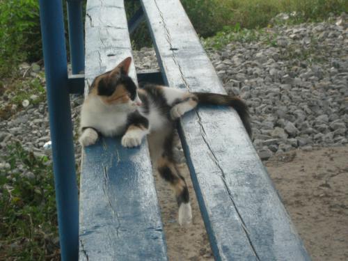 �������