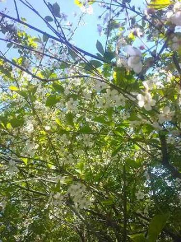 �������� �������