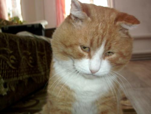 ������� �����