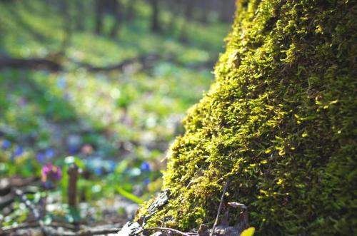 �������� ������