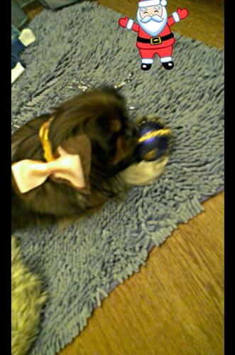 � ����� ����� ����