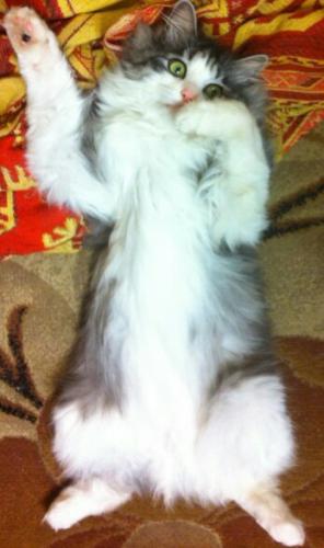 ����� ������ 