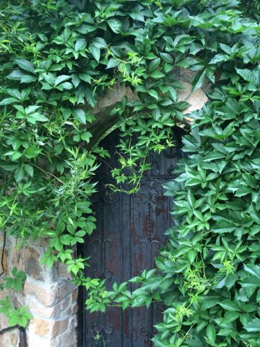 ��������� ������