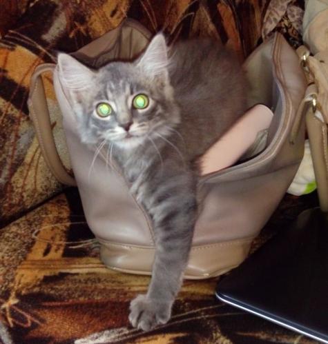 ��� �������� ��� �� �����