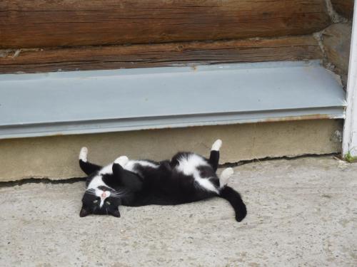 �������������� �����