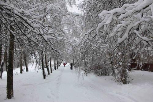 � ������