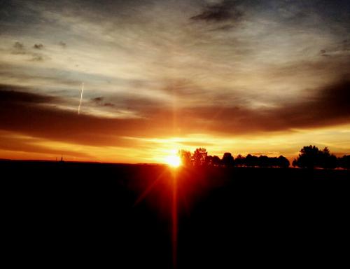 � ��������� ������� ��� ������