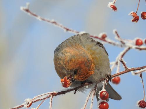 ���� �� ������