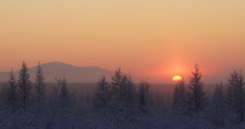 ������ �������