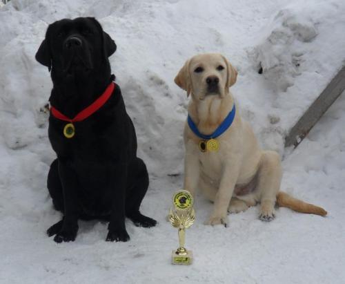 ����� �� ������ ���