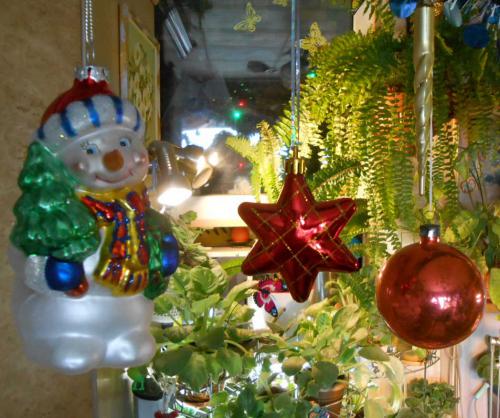 �������� � ��� �� ������