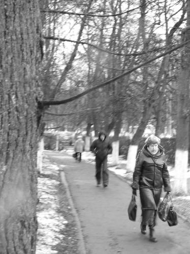 ����� ������ ���