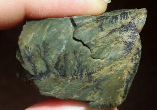 ������������ �������