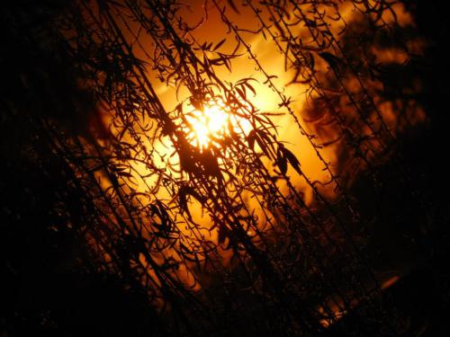 �� ����������