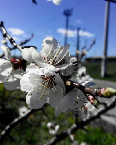 �������������� �����