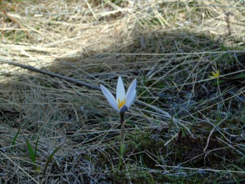 ������ �����