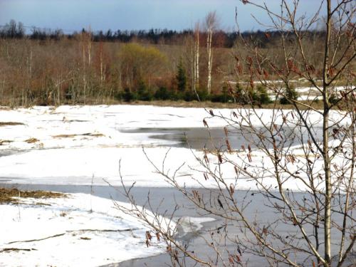 �������� ������