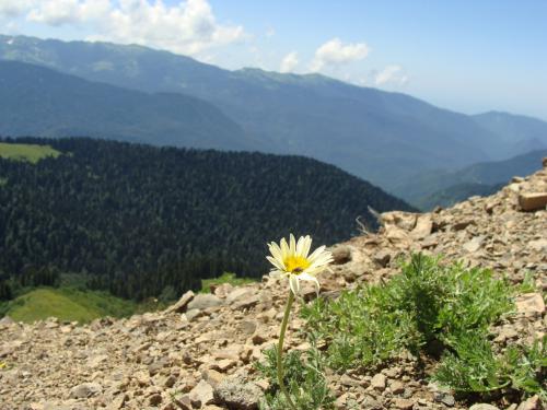 ������ � �����