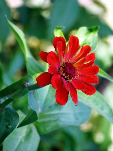 �������  ��������