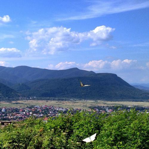 Карпаты 