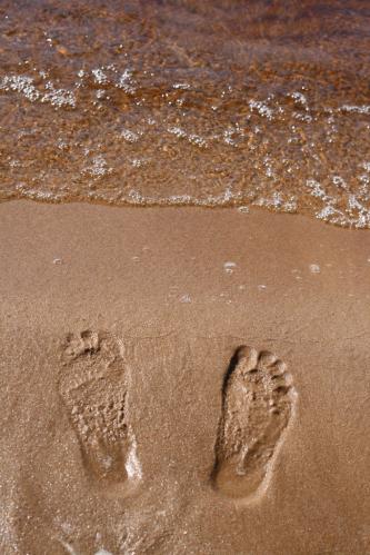 � � ����