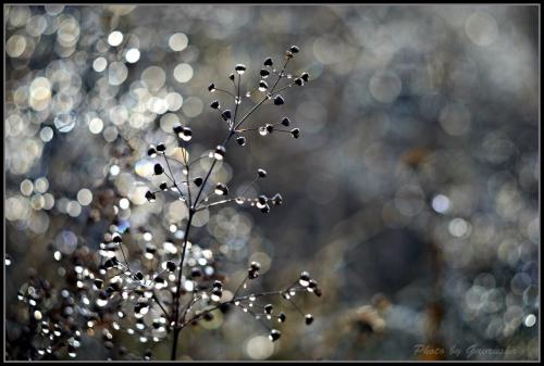 ��������� �����