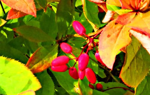 ������� ������