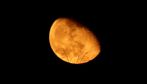 ���� ����� �������