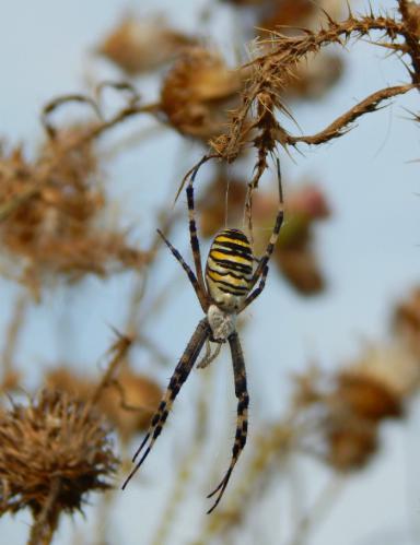 ������� � ����