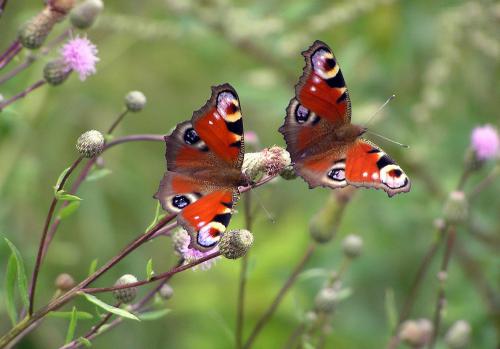 �������